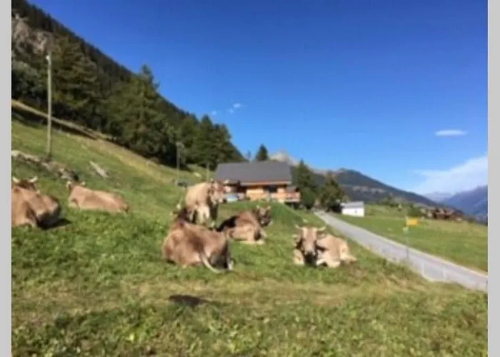 Idyllisches Inmitten Der Walliser Bergwelt *