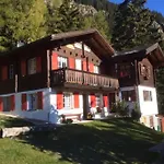 Idyllisches Inmitten Der Walliser Bergwelt 利德阿尔卑斯