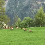 Idyllisches Inmitten Der Walliser Bergwelt 公寓 利德阿尔卑斯