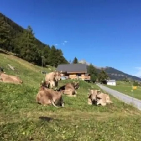 Idyllisches Inmitten Der Walliser Bergwelt *